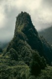 Tablou Canvas, "V&acirc;rful &icirc;nvăluit de ceață misterioasă", Misterios, Impunător, Pitoresc, Verde, Monumental, Mistic, Sălbatic, St&acirc;ncos, Natură, &Icirc;nalțime,