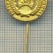 Y 140 INSIGNA- SCOALA DE INGINERIE -CROATIA - IUGOSLAVIA-PENTRU COLECTIONARI