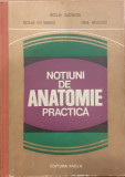 Notiuni de anatomie practica