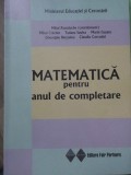 MATEMATICA PENTRU ANUL DE COMPLETARE-MIHAI POSTOLACHE SI COLAB.-233362