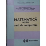 MATEMATICA PENTRU ANUL DE COMPLETARE-MIHAI POSTOLACHE SI COLAB.-233362