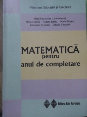 MATEMATICA PENTRU ANUL DE COMPLETARE-MIHAI POSTOLACHE SI COLAB.-233362 foto
