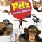 Joc Nintendo Wii Petz: Monkey Madness