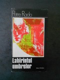 PETRE RADO - LABIRINTUL UMBRELOR