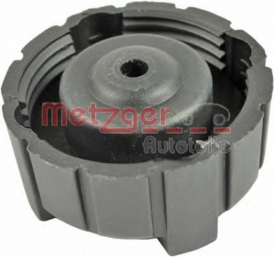 Buson vas expansiune antigel ALFA ROMEO 145 (930) (1994 - 2001) METZGER 2140103 foto