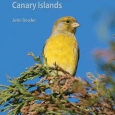 Wildlife of Madeira and the Canary Islands: A Photographic Field Guide to Birds, Mammals, Reptiles, Amphibians, Butterflies and Dragonflies