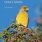 Wildlife of Madeira and the Canary Islands: A Photographic Field Guide to Birds, Mammals, Reptiles, Amphibians, Butterflies and Dragonflies