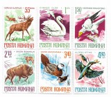 Romania - Animaled ocrotite in Romania, 1977 - serie neobliterata