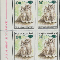 2001 Romania - Pui de animale (supratipar mouse), LP 1564 bloc de 4 MNH