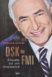 Cumpara ieftin DSK au FMI. Enquete sur une renaissance - 2013 - Stephanie Antoine (@E10)