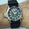 CEAS CITIZEN Promaster 1 AQUALAND - C022 - Two-Tone - Diver - 1985 - Vintage !
