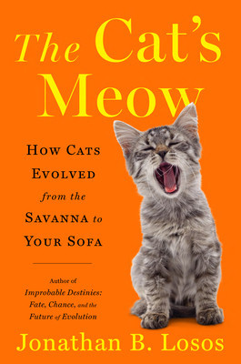 The Cat&amp;#039;s Meow: How Cats Evolved from the Savanna to Your Sofa foto