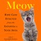 The Cat&#039;s Meow: How Cats Evolved from the Savanna to Your Sofa