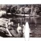 CP Bucuresti - Vedere din Parcul Libertatii, RPR, circulata 1958, stare buna