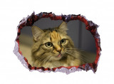 Sticker decorativ, Gaura in perete 3D, Pisica, 85 cm, 409STK-1