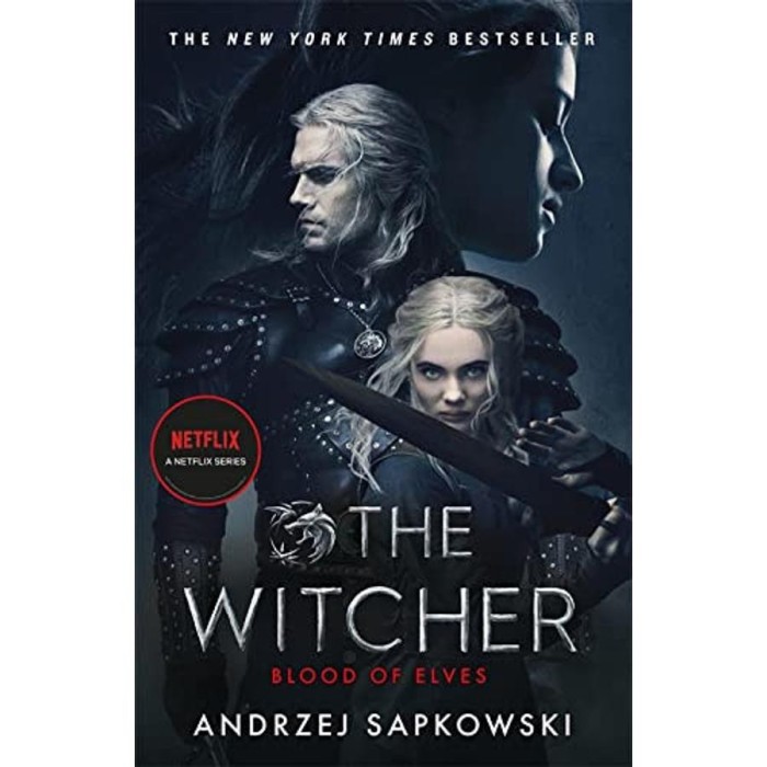 The Witcher - Blood of Elves - Andrzej Sapkowski