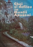 Chei si defilee din Muntii Apuseni - 1988 - Pompei Cocean (L276)