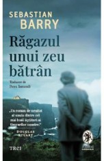 Ragazul unui zeu batran - Sebastian Barry
