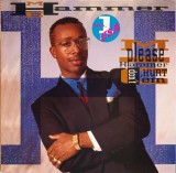 Vinil LP M.C. Hammer &lrm;&ndash; Please Hammer Don&#039;t Hurt &#039;Em (VG+)
