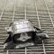 KIA NIRO 2020 OEM: 21830-G2000 SKU: 12100886