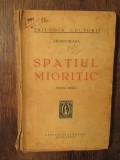 Spațiul mioritic - Lucian Blaga