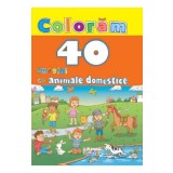 Coloram 40 de imagini cu animale domestice
