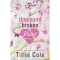 A Thousand Broken Pieces - Tillie Cole