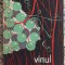 Vinul de viata lunga - N. D. Cocea