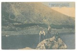 4711 - BORSA, Maramures, M-tii Rodnei, Varful Pietrosul Mare, Romania - old postcard - unused - 1916, Necirculata, Printata