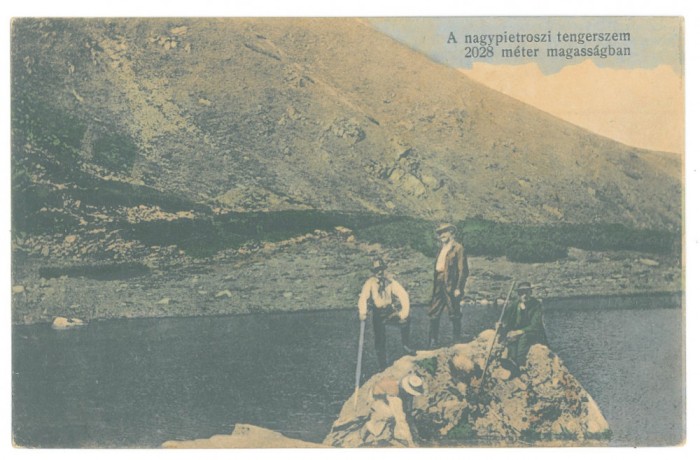 4711 - BORSA, Maramures, M-tii Rodnei, Varful Pietrosul Mare, Romania - old postcard - unused - 1916