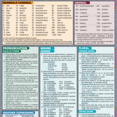 French Grammar Laminate Reference Chart