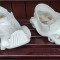 2/GHIVECE PT.FLORII/PORTELAN/DEOSEBITE/