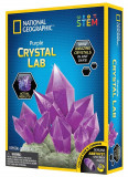 Kit educativ - Laborator de crestere cristale violet | Blue Marble