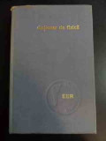 Dictionar De Fizica - Ion Dima ,546926, ENCICLOPEDICA