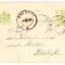SV * CP 1908 circulata CRAIOVA - BAILESTI catre Admin. Mosiei Printului Stirbei