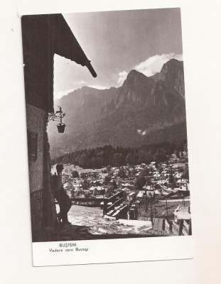 RF70 -Carte Postala- Busteni , vedere spre Bucegi, necirculata foto