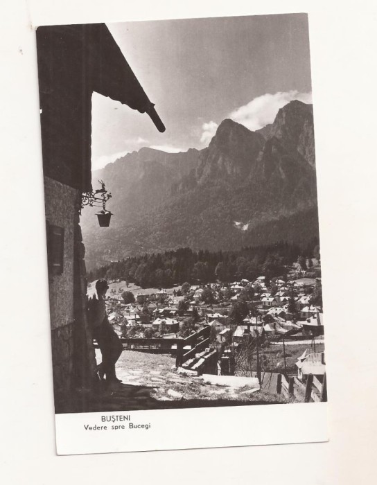 RF70 -Carte Postala- Busteni , vedere spre Bucegi, necirculata