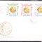 TSV$ - FDC 1964 LP 596 A MEDALII OLIMPICE