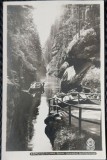Carte Postala, Switzerland Mountains, perioada interbelica