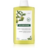 Klorane C&eacute;drat sampon pentru curatare pentru par normal spre gras 400 ml