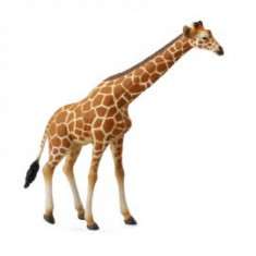 Figurina Girafa XL Collecta