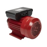 Motor electric 2.5 kw 3000rpm TROIAN ROSU FarmGarden AgroTrade, Micul Fermier