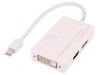 Adaptor mini DisplayPort la DisplayPort 1.1a Alb