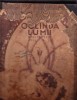 Revista Veche Oglinda Lumii, 9 Iulie 1931, Anul X, Nr. 28 - Colectie Retro, Publicatie Istorica