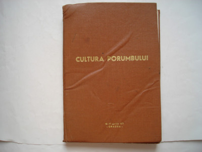 Cultura porumbului - volum de articole foto