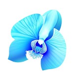 Cumpara ieftin Sticker decorativ, Floare, Albastru, 62 cm, 8577ST, Oem