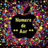 Numere Vip Aur * Numar Gold Preferential07xy7 44444