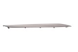 Ornament panou ușă dreapta spate LEXUS NX _Z1_ 2019 OEM: 67783-78010,67783-78020,1E107-065G 12403068