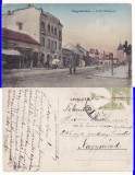 Salonta (Bihor, Oradea) - Piata, Circulata, Printata