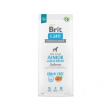 Brit Care Dog Grain-free Junior Large Breed, hrana uscata pentru caini, 12 kg